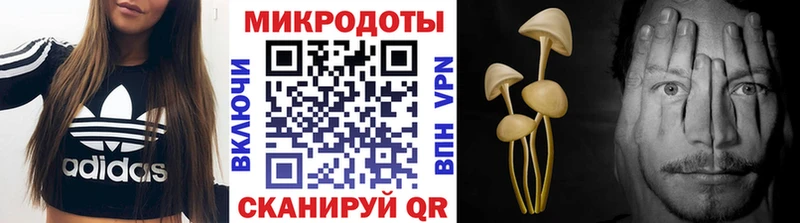 хочу наркоту  Могоча  ОМГ ОМГ tor  Галлюциногенные грибы прущие грибы 